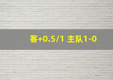 客+0.5/1 主队1-0